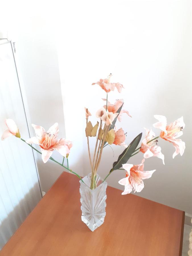 Asteris Appartment แธร์มี ภายนอก รูปภาพ
