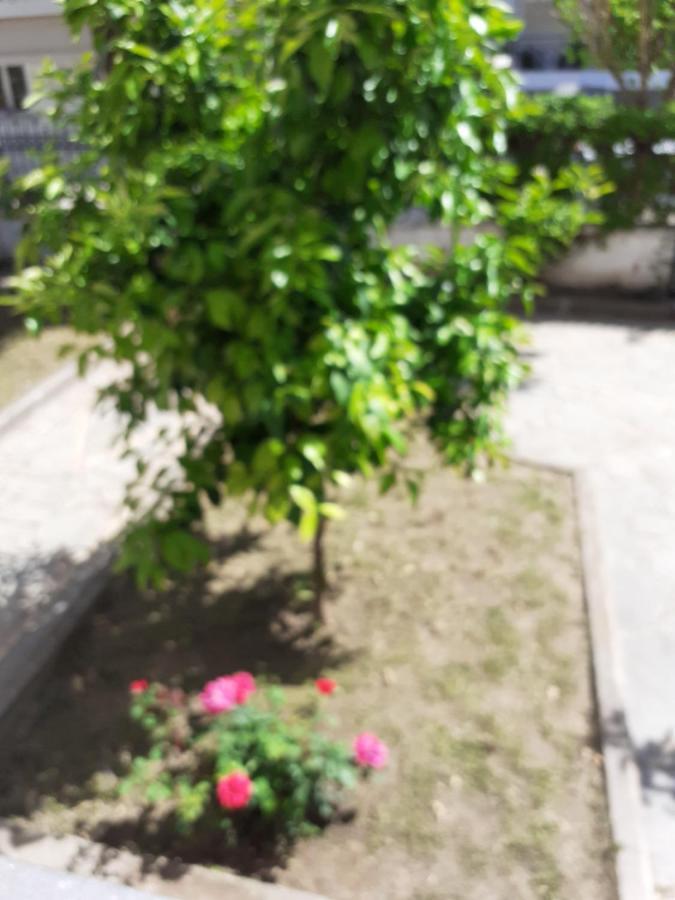 Asteris Appartment แธร์มี ภายนอก รูปภาพ